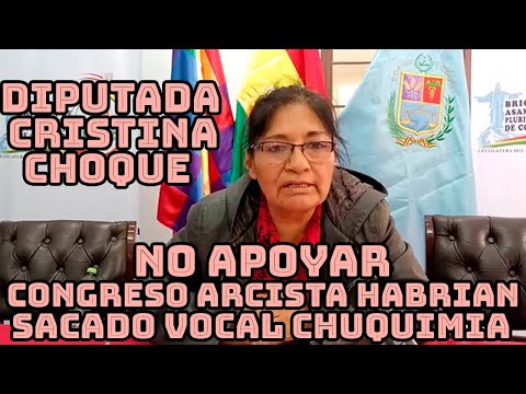 DIPUTADA CRISTINA CHOQUE DENUNCIA QUE ELECCIONS JUDICIALES SOLO UN SHOW POLITICO NO HABRA NADA..