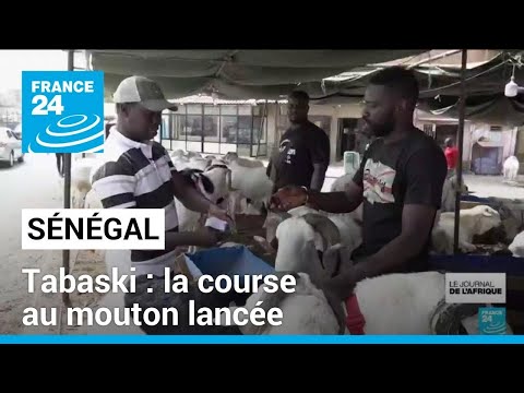 Tabaski au Sénégal : la course au mouton lancée • FRANCE 24