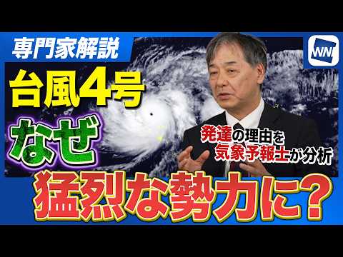 【台風発達の要因】なぜ台風4号は「猛烈な勢力」まで発達した?／ウェザーニュース専門家解説