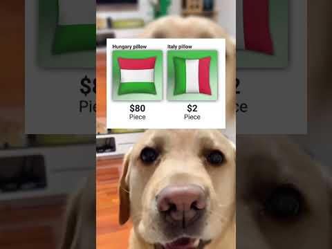 #memes #story #dog #shorts #pets