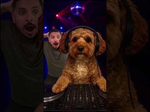 His name is Butters and he’s a party animal #party #partyanimal #boysnight #dog