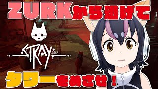 【Stray】こんばんは、フンボルトネコです🐈【#フンボルトペンギンちゃんねる／#けもV】