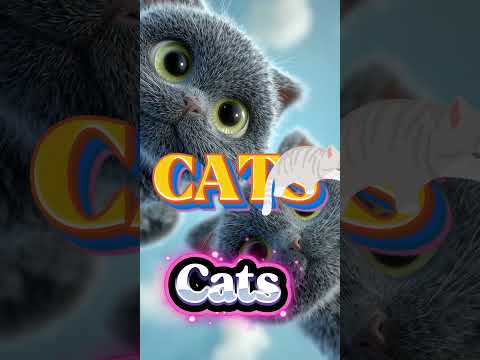 Cats. Cats. CATS. They're EVERYWHERE. And They're Acting WEIRD 🐾😼