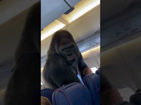 Klik hier om Kwebbelkop van 28 november te bekijken.