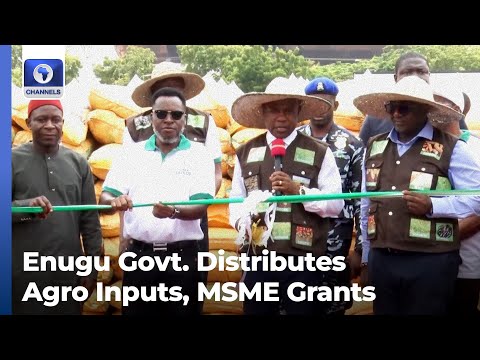 Enugu Agriculture: State Govt Distributes Agro Inputs, MSME Grants