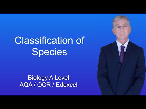 A Level Biology Revision “Classification of Species”
