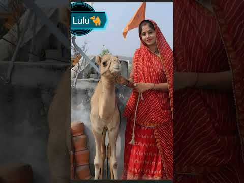 #whowillbemylifepartnerta buty cemal