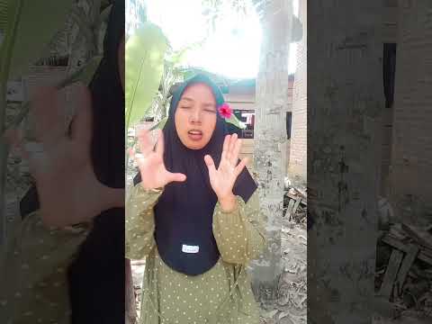 kucing jeruk kotor #funny #comedy #shorts