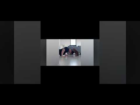 #прикол#кот#отжимания#врек