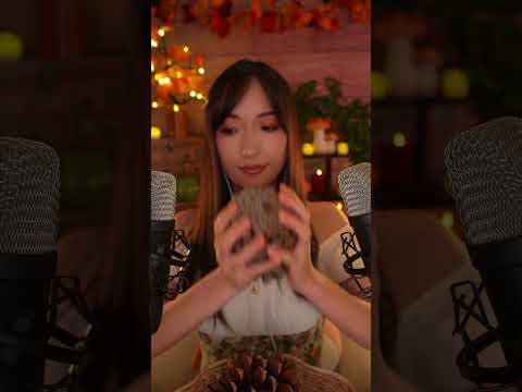 <strong>ASMR</strong> 🍁 Pommes <strong>de</strong> pin géantes  😍🍂🤯