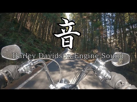 【高音質】ハーレーダビッドソン エンジン音 三拍子 Harley Davidson Engine Sound