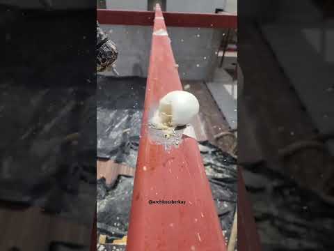 Bu İşlemin Neden Yapıldığını Bilen Var Mı ? | Köpük Doldurma #shorts #satisfying #engineering