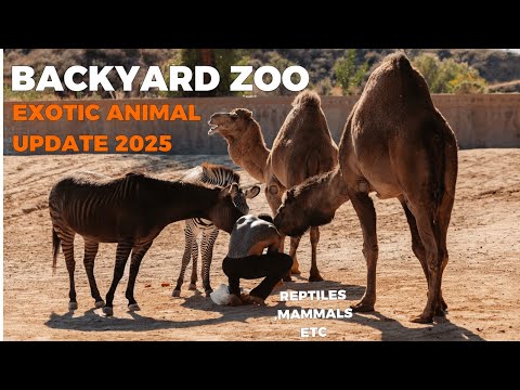 Feeding All My Animals 2025