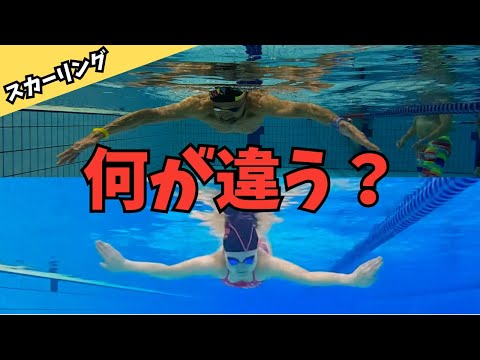 【水泳の奥義】手のかきが激変する「スカーリング」見比べてみた！