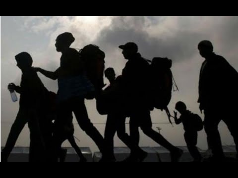 Localizan 54 migrantes haitianos en un furgón