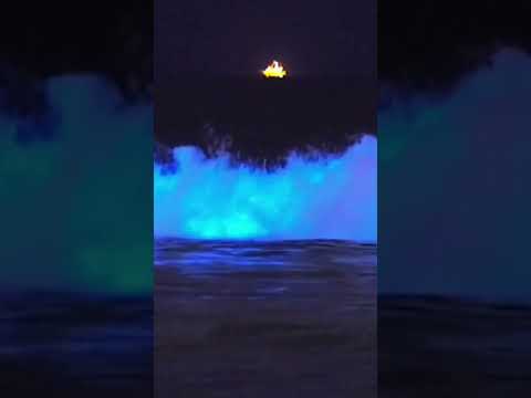 What’s causing the ocean to glow?