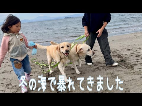 鎌倉の静かな海で富士山バックに流血するくらいの激しいワンプロしてきました