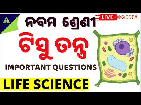class 9 Life science in odia |ଟିସୁ ତନ୍ତ୍ର | Chapter – 3| Tissue Tantra in odia | Important questions