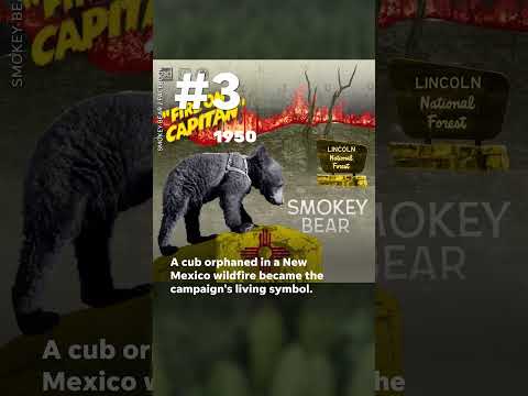 Five facts about Smokey Bear's eight decades of American wildfire-fighting iconography | USA TODAY