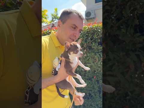 WHY IS HER DAD AGAINST HAVING A PUPPY IN THE HOUSE?!