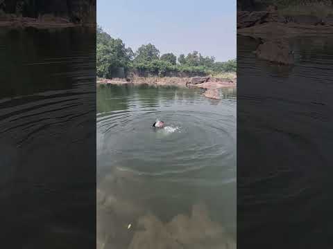 dubna laga turant #shorts