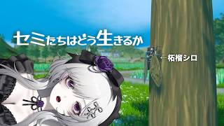 【セミたちはどう生きるか】私、セミとして生きます【柘榴シロ】