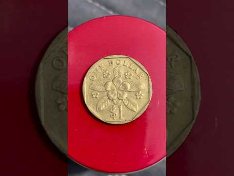 Bạn biết được bao nhiêu đồng xu ? #tienxua #youtubeshorts