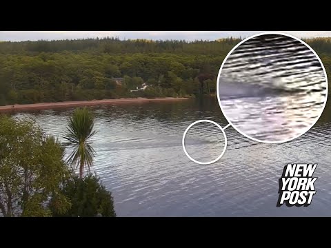 New footage from Scotland suggests there are two Loch Ness monsters: ‘Not a coincidence’