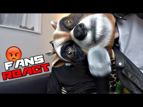 FANS REACT TO HIATUS