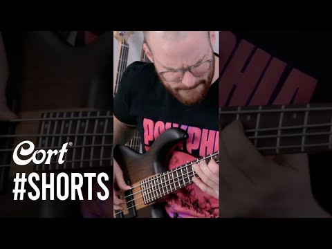 Partick Hunter plays the Artisan C4 Plus OVMH #Shorts