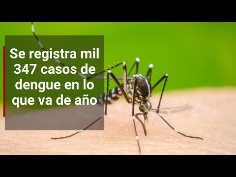 Se registra mil 347 casos de dengue en lo que va de año