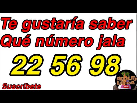 TE GUATARIA SABER CUÁL NÚMERO JALA ((56))((22))((98))