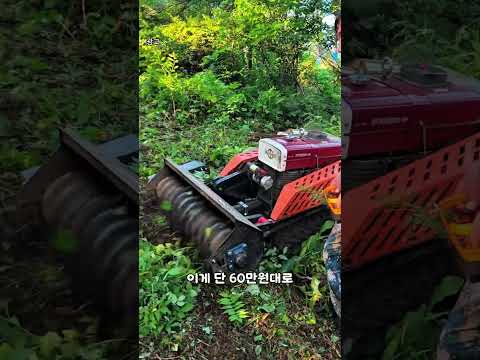 나무까지 자르는 rc 벌목 제초기