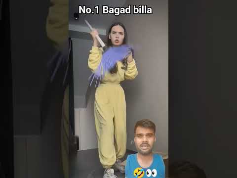 Reaction 👀🤣 #cat #funny #halloween #comedy #pets #cats #amazingmemes #catvideos #catcomedy