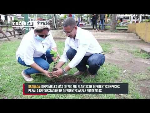 Impulsan en Granada campaña nacional para la preservación del medioambiente - Nicaragua
