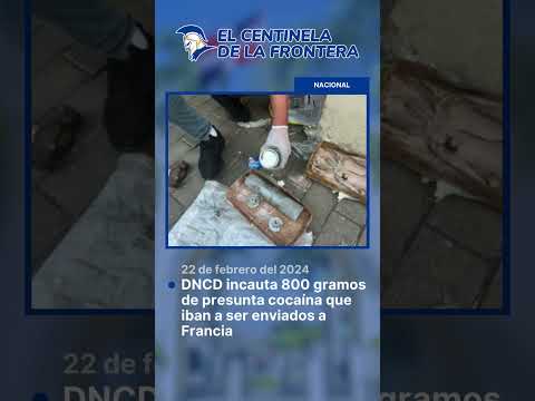 DNCD incauta 800 gramos de presunta cocaína que iban a ser enviados a Francia