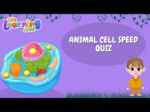 Animal Cell Speed Quiz for Kids | The Learning Apps