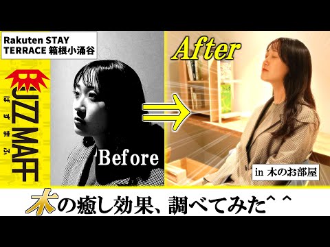 【検証】木の癒し効果で人はホントに癒されるのか??(ウッド・チェンジ)