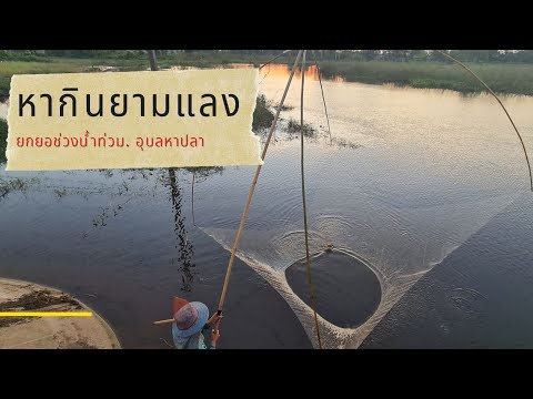 ยกยอข้างถนนบนสะพานเขายกแบบไหน