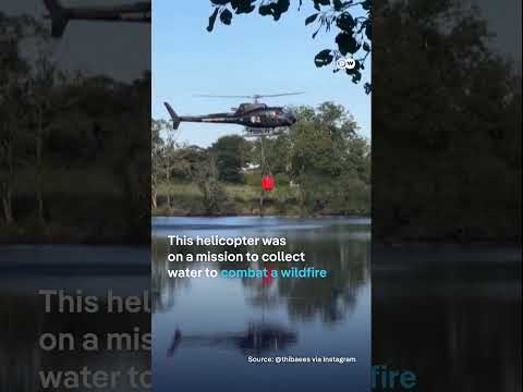 Helicopter in France crashes into water | DW News