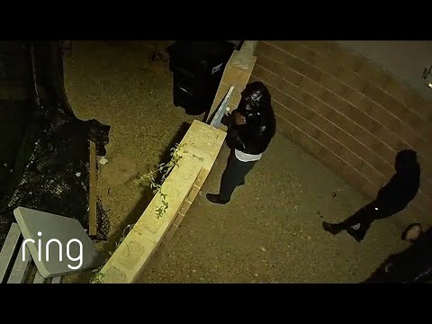 Motion Warning Activated Against Four Strangers in Backyard | RingTV