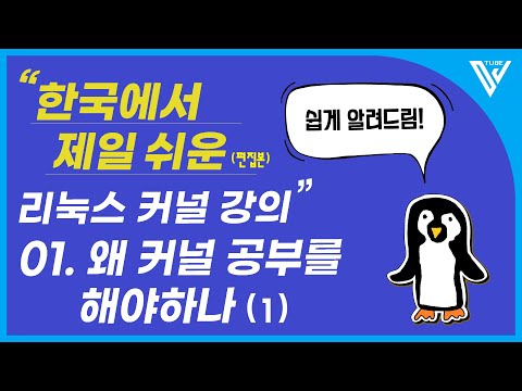 [한국에서 제일 쉬운 리눅스 커널 강의 ] 1-1. 왜 커널 공부를 해야하나(1)