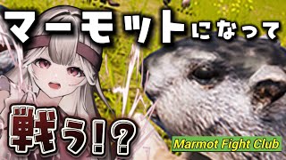 【Marmot Fight Club】リスナーが神ゲーをプレゼントしてくれたらしい #華澤なこ