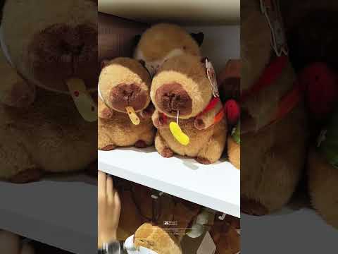 Capybara: do you like popsicle or fried clips?  #cute #capybara