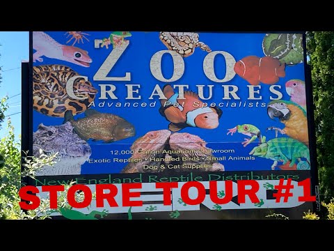 FIRST FISH STORE TOUR! ZOO CREATURES! PLAISTOW NH Wanted to go and see some fish because of seeing all the cool stuff people posted about Aquashella s