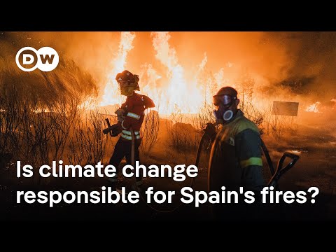 Spain experiences worst wildfire season since records began | DW News