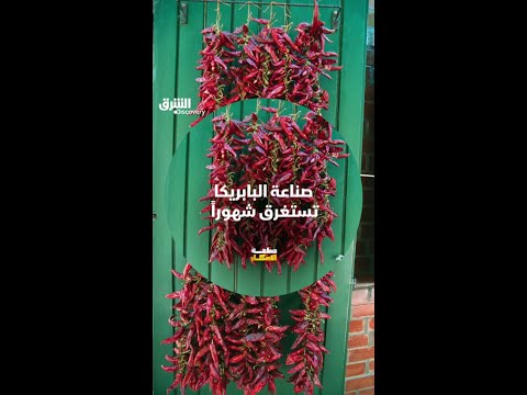 صناعة البابريكا تستغرق شهوراً