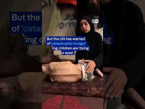Why airdrops don't make sense | DW News