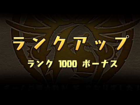 遂にランク1000になりました。サブ垢とは…【パズドラ】