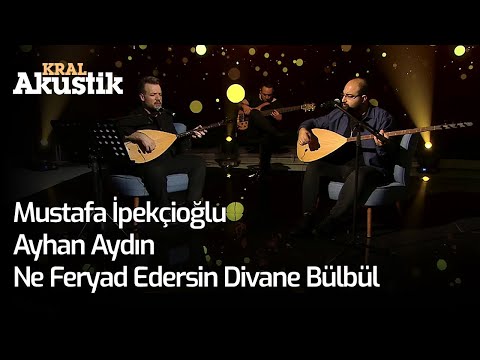 Mustafa İpekçioğlu & Ayhan Aydın - Ne Feryad Edersin Divane Bülbül